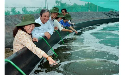 TPHCM: Các mô hình nuôi trồng thủy sản bền vững cho huyện Cần Giờ