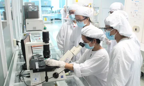 Làm nghiên cứu như một nghề nghiệp nghiêm túc: Những rào cản