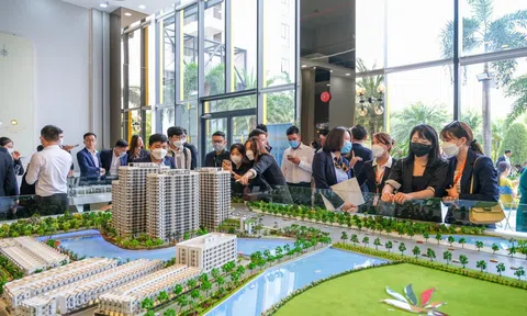 Căn hộ trên dưới 45 triệu/m2 được tìm kiếm nhiều trên chợ trực tuyến