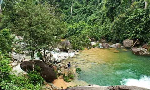 Thanh Hoá quy hoạch vùng sinh thái rừng đầu nguồn hơn 58.000ha
