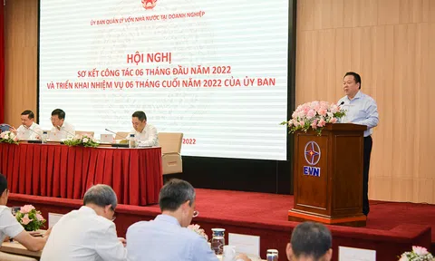 6 tháng đầu năm 2022: Các Tập đoàn, Tổng công ty thuộc Ủy ban đạt doanh thu gần 900 nghìn tỷ đồng