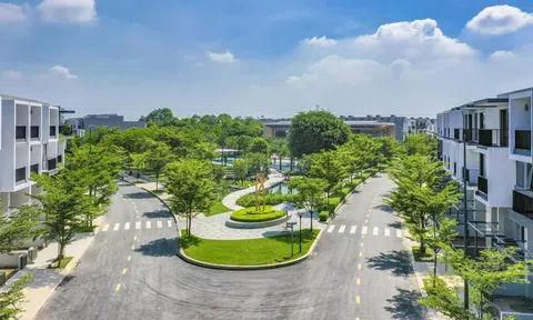 Nhà thấp tầng vẫn “cầm trịch” dòng tiền của giới đầu tư