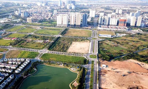 Hoà Bình đấu giá quyền sử dụng 447ha đất