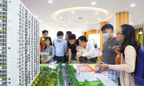Thanh khoản căn hộ sơ cấp tăng, cấp thứ chững lại