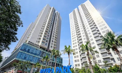Hai đại gia bất động sản Hà Nội bị “bêu” tên nợ thuế 76 tỉ đồng