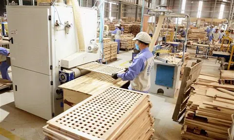 Một doanh nghiệp gỗ báo lãi quý 2 đạt gần 160 tỷ đồng