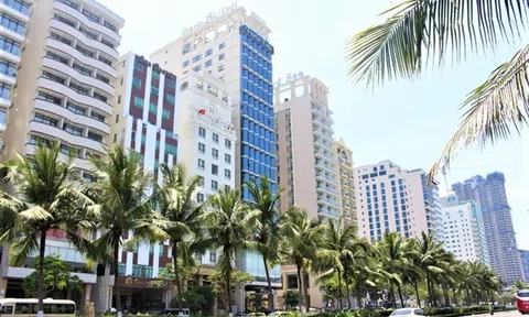 Đà Nẵng: Công suất phòng khách sạn 4 - 5 sao giảm sâu