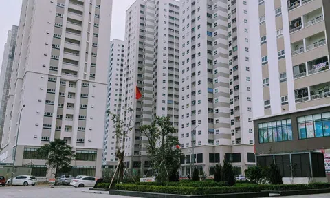 Giá bán căn hộ tiếp tục tăng cao, nhà đầu tư thu lời lớn
