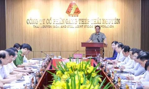 Thủ tướng: Khẩn trương tìm phương án xử lý Dự án Gang thép Thái Nguyên