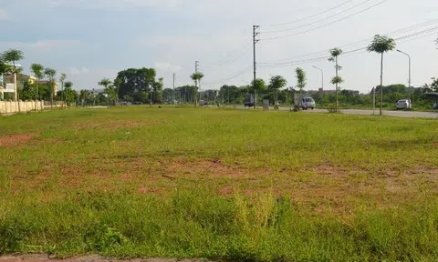Đất đấu giá Mê Linh tiếp tục xác lập mức giá kỷ lục, cao nhất 93 triệu đồng/m2