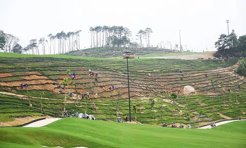 Sân golf Ngôi Sao Hạ Long “nuốt” hơn 80 ha đất rừng phòng hộ