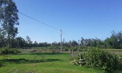 Đà Nẵng chưa có quy định cho phép phân lô, tách thửa đối với đất nông nghiệp