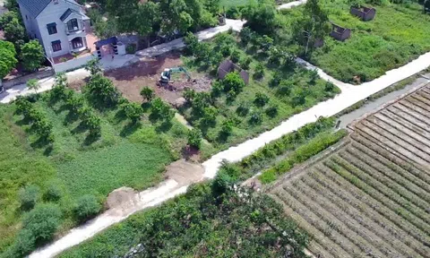 Mê Linh nghiên cấm sử dụng đất, tách thửa liên quan đến tuyến Vành dai 4