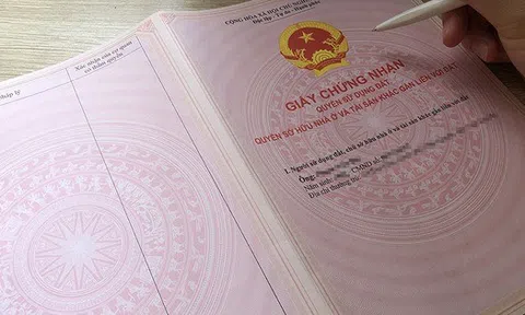 Quy định về thu hồi giấy chứng nhận đã cấp do sai thời hạn sử dụng