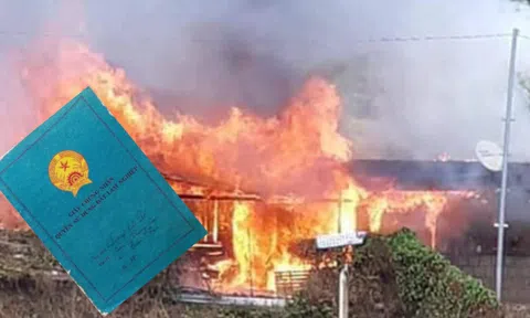 Có được cấp mới sổ lâm bạ bị mất do cháy nhà?