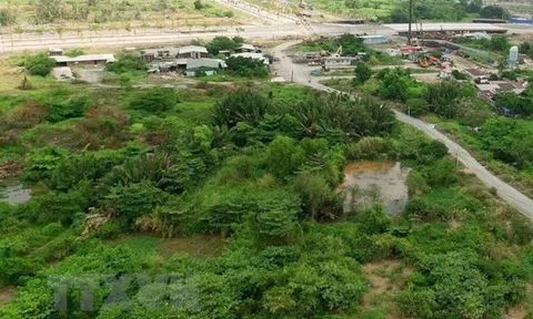 Thêm 20 thửa đất tại Mê Linh đấu giá thành công, cao nhất hơn 70 triệu đồng/m2
