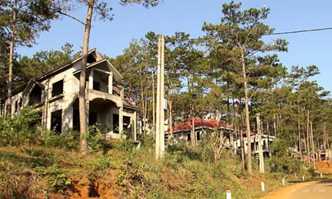 Chậm triển khai, một doanh nghiệp ở Kon Tum bị thu hồi đất cho thuê