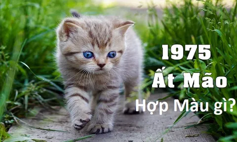 Màu sắc nội thất hợp phong thủy cho gia chủ tuổi Mão