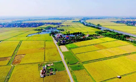 Đất LUC là gì? 3 bước chuyển đổi đất LUC lên đất thổ cư