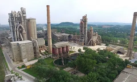 Xi măng Bỉm Sơn báo lãi quý 2 giảm tới 42%, chốt quyền trả cổ tức 5% bằng tiền mặt