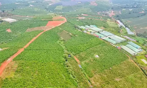 THACO muốn làm dự án Tổ hợp 50.000 tỷ đồng tại Lâm Đồng