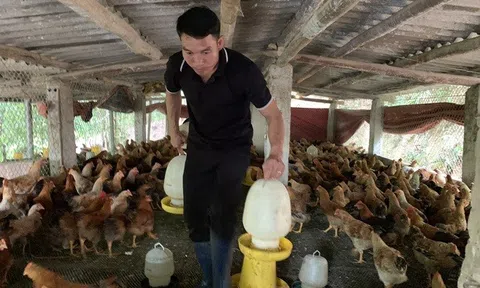 Tiên Yên: Nguồn vốn tín dụng chính sách tăng hơn 18 lần, giúp gần 8.000 hộ dân thoát nghèo