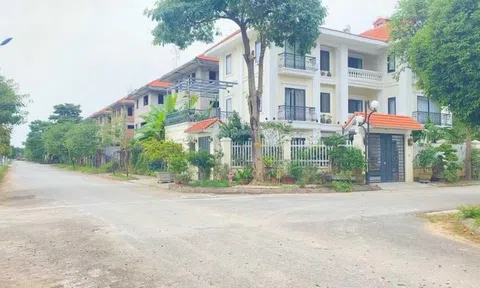 Làn sóng cắt lỗ bắt đầu xuất hiện, nhà đầu tư trường vốn vào cuộc bắt đáy