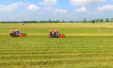 Quy định gia hạn thời hạn sử dụng đất nông nghiệp