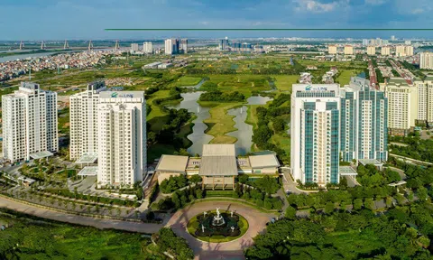 31 Tổ chức quản lý, kinh doanh nhà tại địa phương đang quản lý 87.664 cơ sở nhà, đất thuộc sở hữu nhà nước