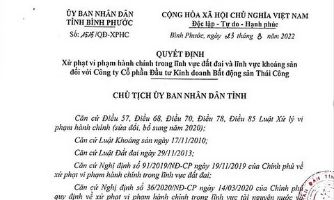 Vi phạm về đất đai và khoáng sản, một doanh nghiệp bị phạt hơn 95 triệu đồng