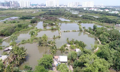 Quốc Cường Gia Lai giải trình về khoản nợ tiềm tàng bị nhấn mạnh trong báo cáo kiểm toán