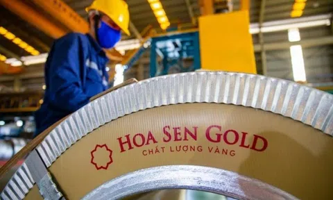 Gần 100 triệu cổ phiếu của Hoa Sen sẽ về tay cổ đông từ ngày 15/9