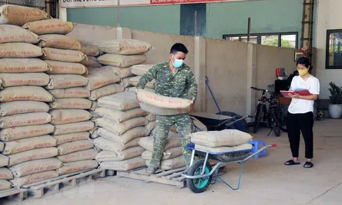 Tiêu thụ vật liệu xây dựng sẽ phục hồi mạnh vào cuối năm