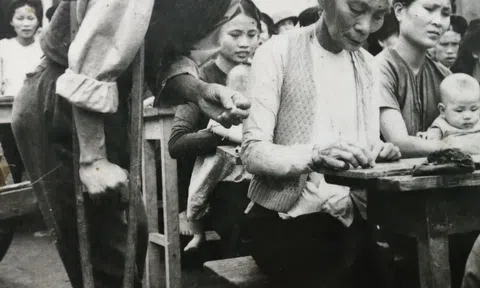 Nhìn lại cuộc canh tân giáo dục năm 1945-1946