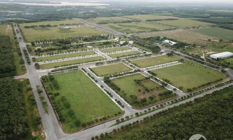 Chính phủ yêu cầu xử lý nghiêm hành vi trốn thuế trong chuyển nhượng quyền sử dụng đất