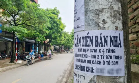 Nhà đầu tư “ôm tiền” chờ giảm giá