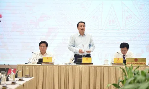 Thứ trưởng Bộ Tài chính nói gì về thời gian cổ phiếu FLC, ROS được giao dịch trở lại