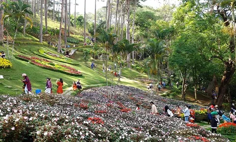 Lâm Đồng: Nhiều dự án quản lý bảo vệ rừng xin bổ sung mục tiêu… kinh doanh dịch vụ du lịch sinh thái, nghỉ dưỡng, giải trí
