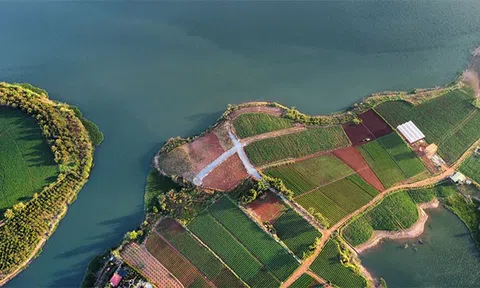 Ngoài dự án khu đô thị hơn 13.000 tỷ đồng không được chấp thuận, FLC có đang triển khai dự án nào khác tại Lâm Đồng?