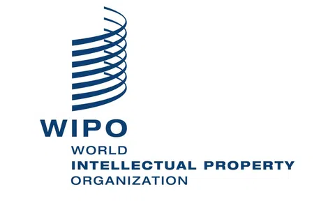 WIPO khuyến nghị thúc đẩy SHTT ở 3 nhóm đối tượng