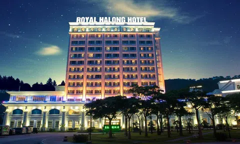 Chủ casino lớn nhất Quảng Ninh liên tiếp miễn nhiệm lãnh đạo cấp cao