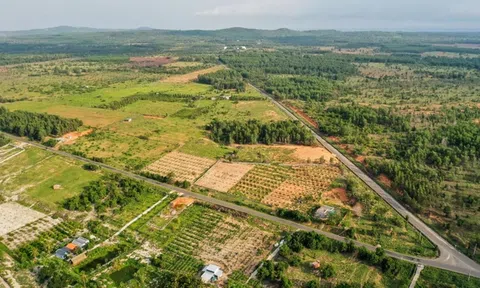 Đất nền TP.HCM tiếp tục vắng bóng nguồn cung mới