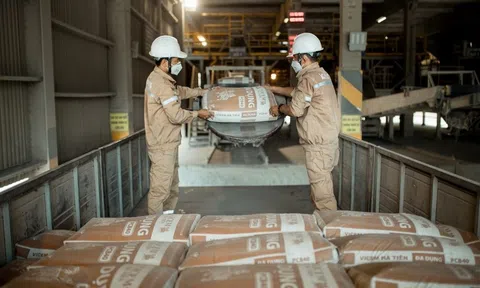Vicem Hà Tiên sắp chi gần 230 tỷ đồng trả cổ tức năm 2021