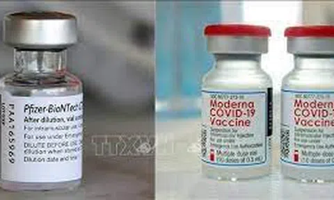 Mỹ cấp phép vaccine COVID-19 phiên bản mới chống biến thể Omicron