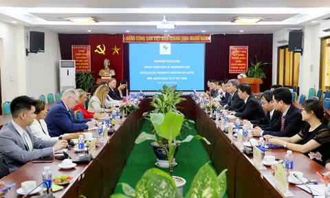 Phát triển hệ thống SHTT ở Việt Nam: Nhìn từ kinh nghiệm quốc tế