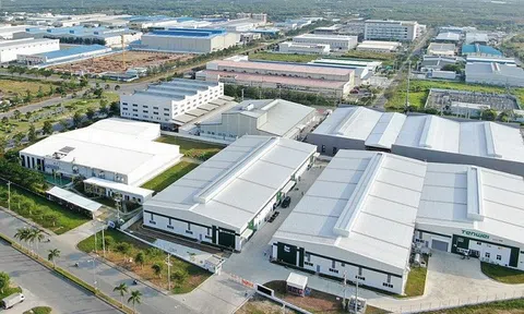 Giảm tiền thuê đất, thuê mặt nước cho các đối tượng bị ảnh hưởng bởi dịch Covid-19