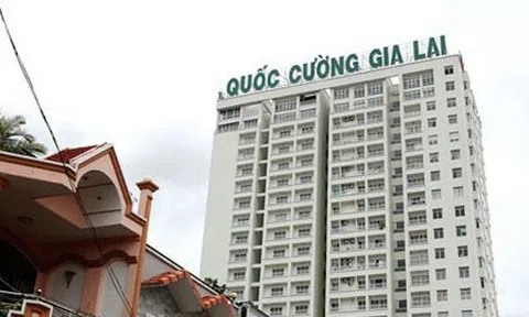 Cả quý lãi 1 tỷ, điều gì khiến cổ phiếu doanh nghiệp bất động sản này tăng dựng đứng?
