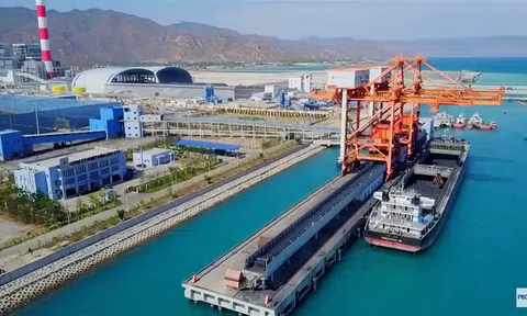 Cải cách thủ tục hành chính trong kinh doanh hàng hải