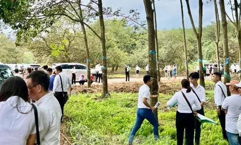 Môi giới tung chiêu "thao túng tâm lý", lừa khách đi xem đất