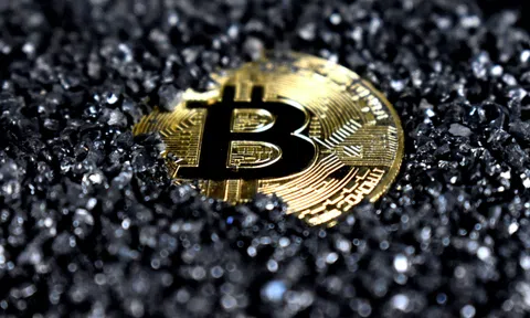 Bitcoin gây tác động môi trường như sản xuất thịt bò